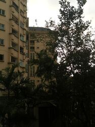 Gemmill Lane (D1), Apartment #622604431